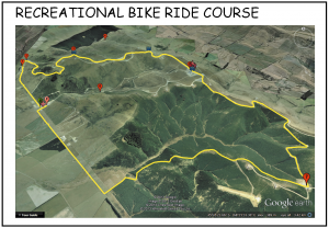 4. Recreational Bike Ride